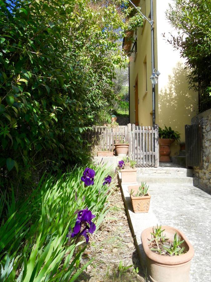 Villa Lucrezia - Dimora In Suvereto Suites&Apartments Bagian luar foto