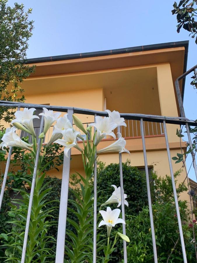 Villa Lucrezia - Dimora In Suvereto Suites&Apartments Bagian luar foto