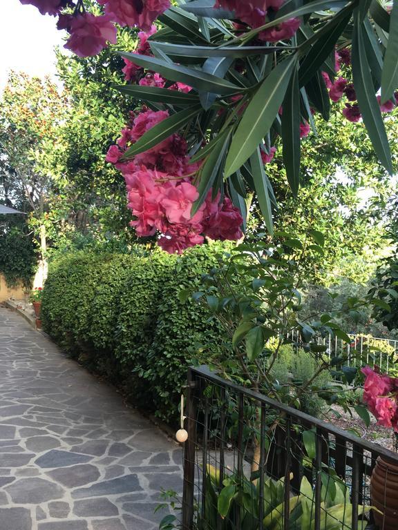 Villa Lucrezia - Dimora In Suvereto Suites&Apartments Bagian luar foto
