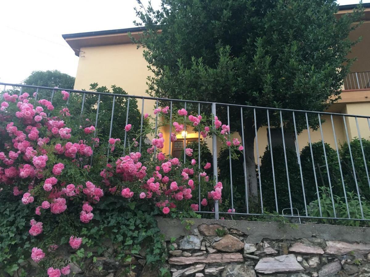 Villa Lucrezia - Dimora In Suvereto Suites&Apartments Bagian luar foto