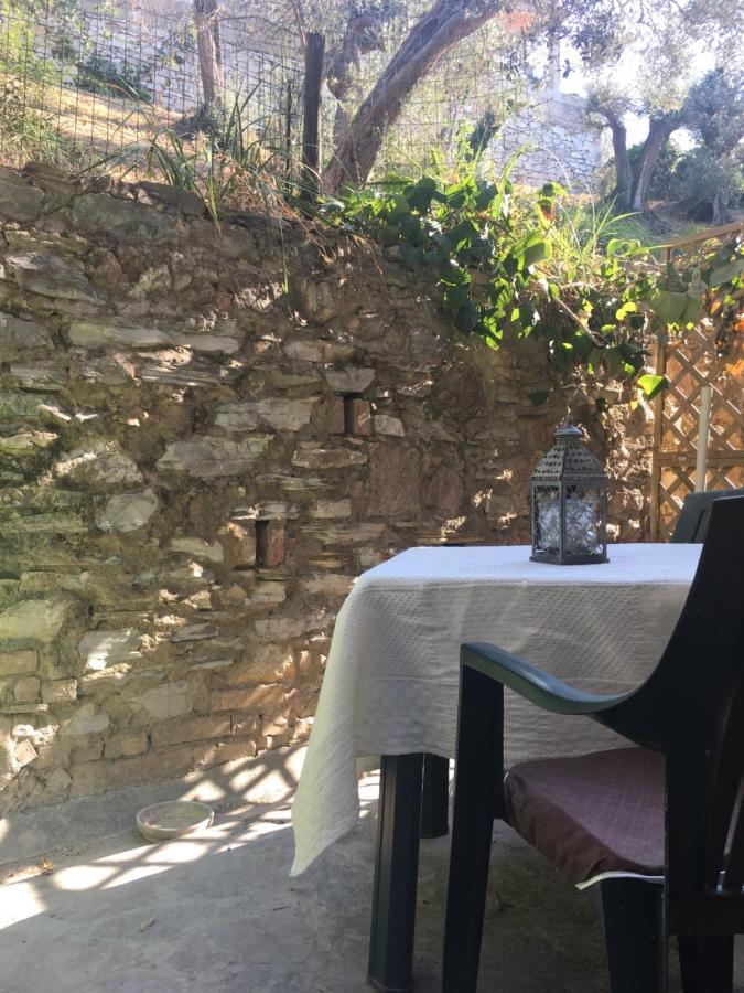 Villa Lucrezia - Dimora In Suvereto Suites&Apartments Bagian luar foto